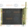 Radiateur, refroidissement du moteur HELLA 8MK 376 900-301 - Visuel 2