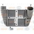 Intercooler, échangeur HELLA 8ML 376 700-051 - Visuel 1
