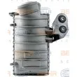 Intercooler, échangeur HELLA 8ML 376 700-061 - Visuel 3