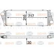 Intercooler, échangeur HELLA 8ML 376 700-624 - Visuel 1
