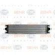 Intercooler, échangeur HELLA 8ML 376 700-631 - Visuel 1