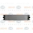 Intercooler, échangeur HELLA 8ML 376 700-634 - Visuel 2