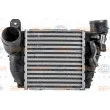 Intercooler, échangeur HELLA 8ML 376 700-701 - Visuel 2