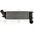 Intercooler, échangeur HELLA 8ML 376 700-711 - Visuel 2