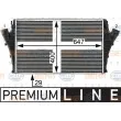 Intercooler, échangeur HELLA 8ML 376 700-721 - Visuel 1