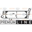 Intercooler, échangeur HELLA 8ML 376 719-031 - Visuel 1