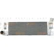 Intercooler, échangeur HELLA 8ML 376 719-031 - Visuel 2