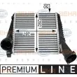Intercooler, échangeur HELLA 8ML 376 723-471 - Visuel 1