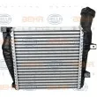 Intercooler, échangeur HELLA 8ML 376 723-471 - Visuel 2