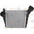 Intercooler, échangeur HELLA 8ML 376 723-481 - Visuel 2