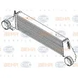 Intercooler, échangeur HELLA 8ML 376 777-241 - Visuel 2