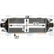 Intercooler, échangeur HELLA 8ML 376 900-444 - Visuel 2
