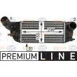 Intercooler, échangeur HELLA 8ML 376 910-311 - Visuel 1