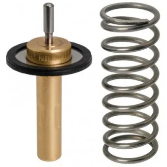 Thermostat d'eau HELLA 8MT 354 777-881
