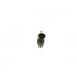 Injecteur BOSCH 0 261 500 04R - Visuel 1