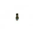 Injecteur BOSCH 0 261 500 094 - Visuel 1