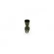 Injecteur BOSCH 0 261 500 098 - Visuel 1