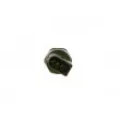 Capteur, pression de carburant BOSCH 0 281 002 926 - Visuel 2