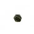 Capteur, pression de carburant BOSCH 0 281 006 186 - Visuel 2
