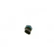 Capteur, pression de carburant BOSCH 0 281 006 191 - Visuel 1