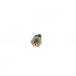Capteur, pression de carburant BOSCH 0 281 006 191 - Visuel 3