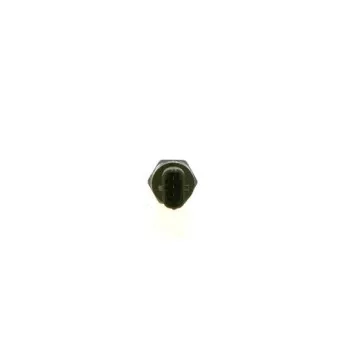 Capteur, pression de carburant BOSCH 0 281 006 192