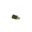 Capteur, pression de carburant BOSCH 0 281 006 266 - Visuel 2