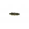 Porte-injecteur BOSCH 0 432 117 002 - Visuel 1