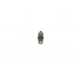 Porte-injecteur BOSCH 0 432 217 084 - Visuel 1