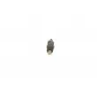 Porte-injecteur BOSCH 0 432 217 248 - Visuel 1