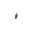 Porte-injecteur BOSCH 0 432 217 308 - Visuel 1