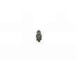 Porte-injecteur BOSCH 0 432 217 310 - Visuel 3
