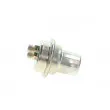 Accumulateur de pression, pression de carburant BOSCH 0 438 170 001 - Visuel 2