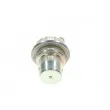 Accumulateur de pression, pression de carburant BOSCH 0 438 170 001 - Visuel 3
