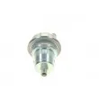 Accumulateur de pression, pression de carburant BOSCH 0 438 170 009 - Visuel 3