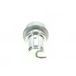 Accumulateur de pression, pression de carburant BOSCH 0 438 170 017 - Visuel 3