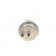 Accumulateur de pression, pression de carburant BOSCH 0 438 170 019 - Visuel 1