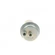 Accumulateur de pression, pression de carburant BOSCH 0 438 170 027 - Visuel 1