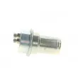 Accumulateur de pression, pression de carburant BOSCH 0 438 170 027 - Visuel 2