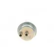 Accumulateur de pression, pression de carburant BOSCH 0 438 170 031 - Visuel 1