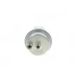 Accumulateur de pression, pression de carburant BOSCH 0 438 170 040 - Visuel 1