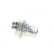 Accumulateur de pression, pression de carburant BOSCH 0 438 170 042 - Visuel 2
