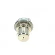 Accumulateur de pression, pression de carburant BOSCH 0 438 170 052 - Visuel 3