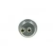 Accumulateur de pression, pression de carburant BOSCH 0 438 170 061 - Visuel 1