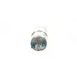 Pompe à carburant BOSCH 0 580 254 001 - Visuel 2