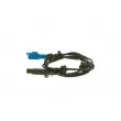 Capteur, vitesse de roue BOSCH 0 986 594 567 - Visuel 2