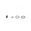 Kit de réparation, unité pompe-injecteur BOSCH 1 417 010 996 - Visuel 3