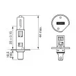 Ampoule BOSCH 1 987 301 073 - Visuel 1