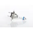 Ampoule BOSCH 1 987 301 075 - Visuel 3