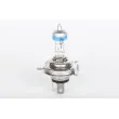 Ampoule BOSCH 1 987 301 077 - Visuel 1